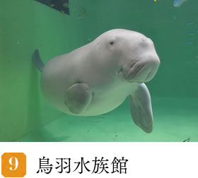 鳥羽水族館