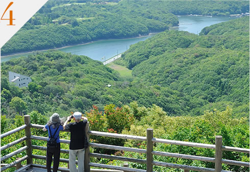 英虞湾の絶景を望む横山展望台へ